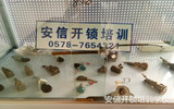 学配钥匙技术3